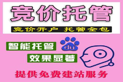 百度SEO推广策略全解析：某企业从零到一的成长历程